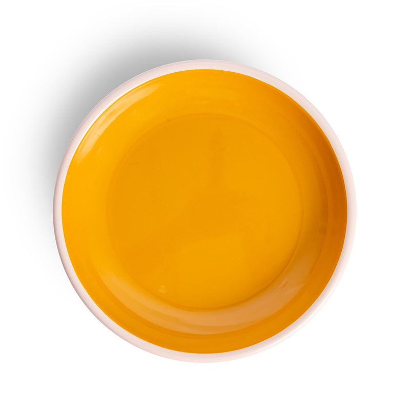 CRAYON COLORED ENAMEL DINNER PLATES (SET OF 4)