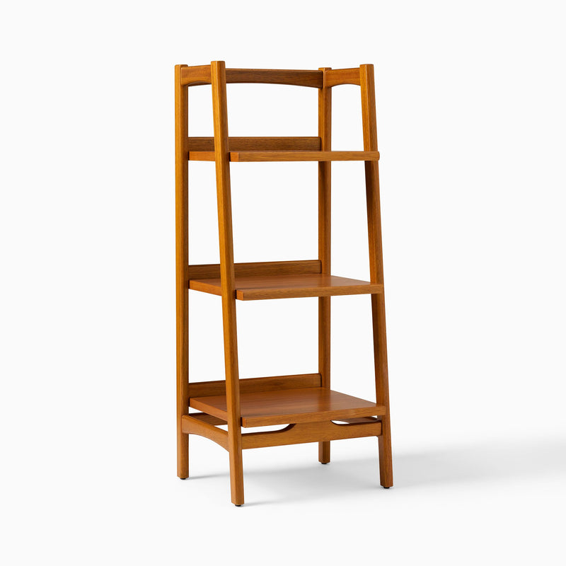 MID-CENTURY BATH LADDER