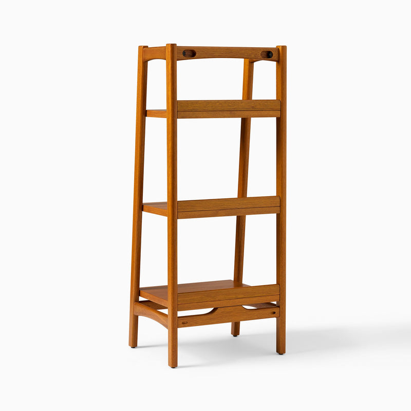 MID-CENTURY BATH LADDER