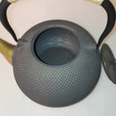 JAPANESE CAST IRON KETTLE
