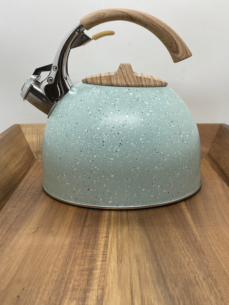 TEAL TEA KETTLE