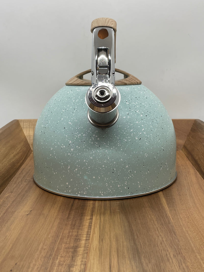 TEAL TEA KETTLE